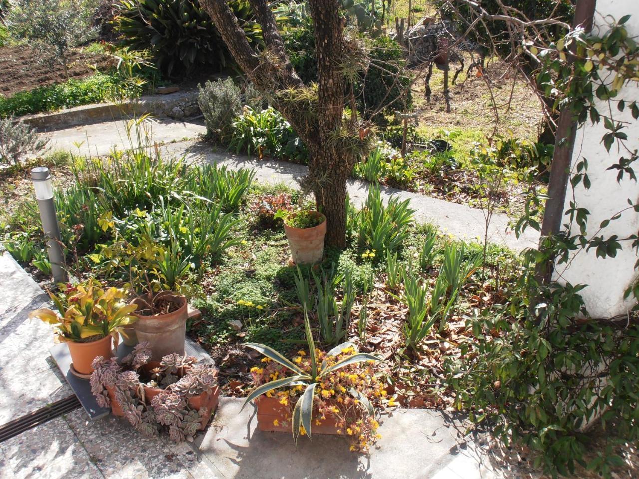 Casa Fortuna Imperia Extérieur photo